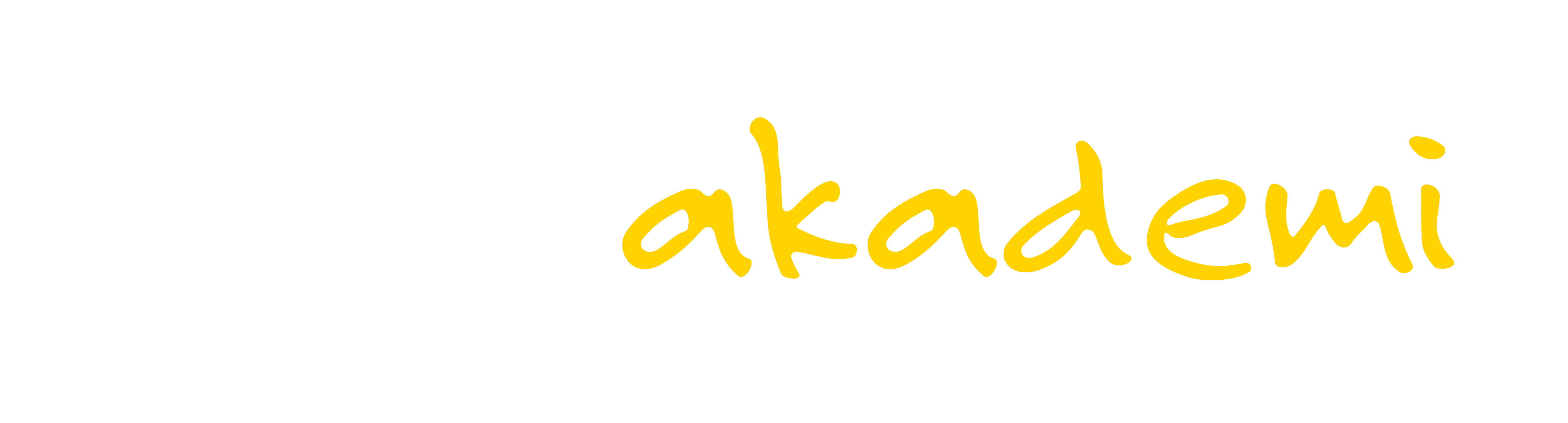 ILO Akademi